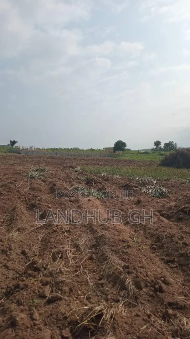 Farm/Residential Land Aburi-Nsawam · Photo 1