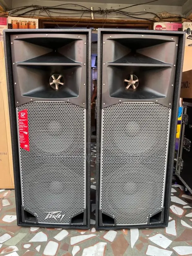 Professional Peavey Full Range · Photo 1