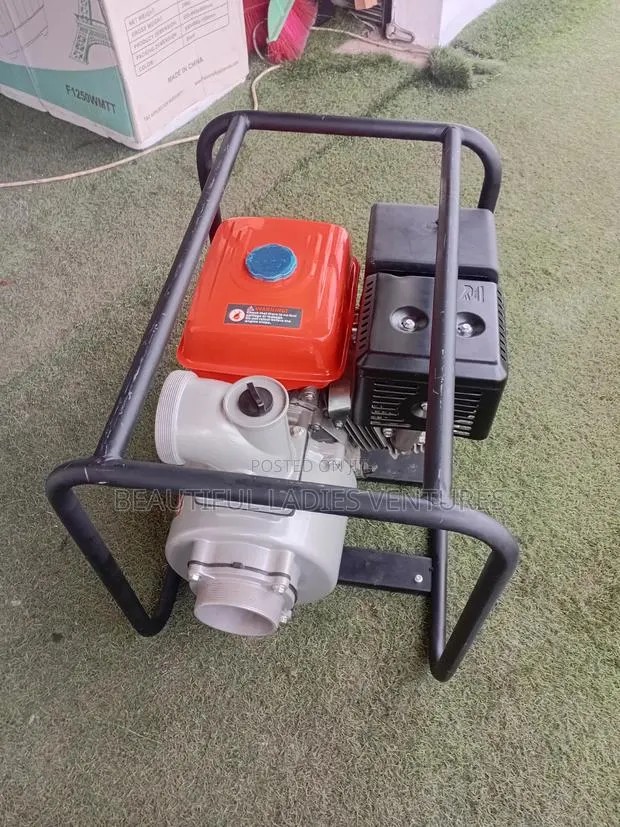Powerful Utility Pump · Photo 1