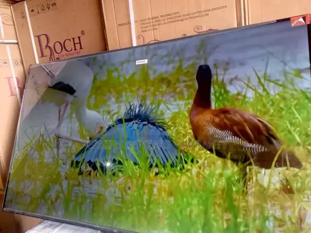 TCL 55-Inch Smart Tv – Best Value for Your Entertainment and Games · Photo 1