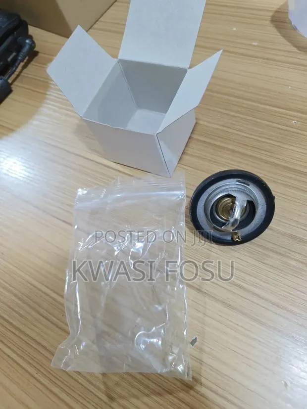 Ford Fiesta 2011 to 2019 Thermostate · Photo 1