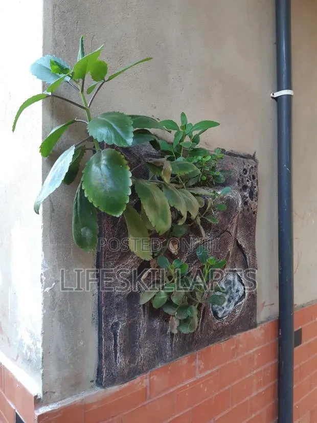Decorated Flowerpot on Wall · Photo 1