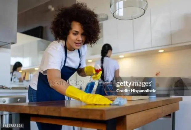 Spintex Cleaner 4you · Photo 1