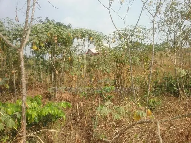 Plot of Land for Sale at Abuakwa Kokoben · Photo 1