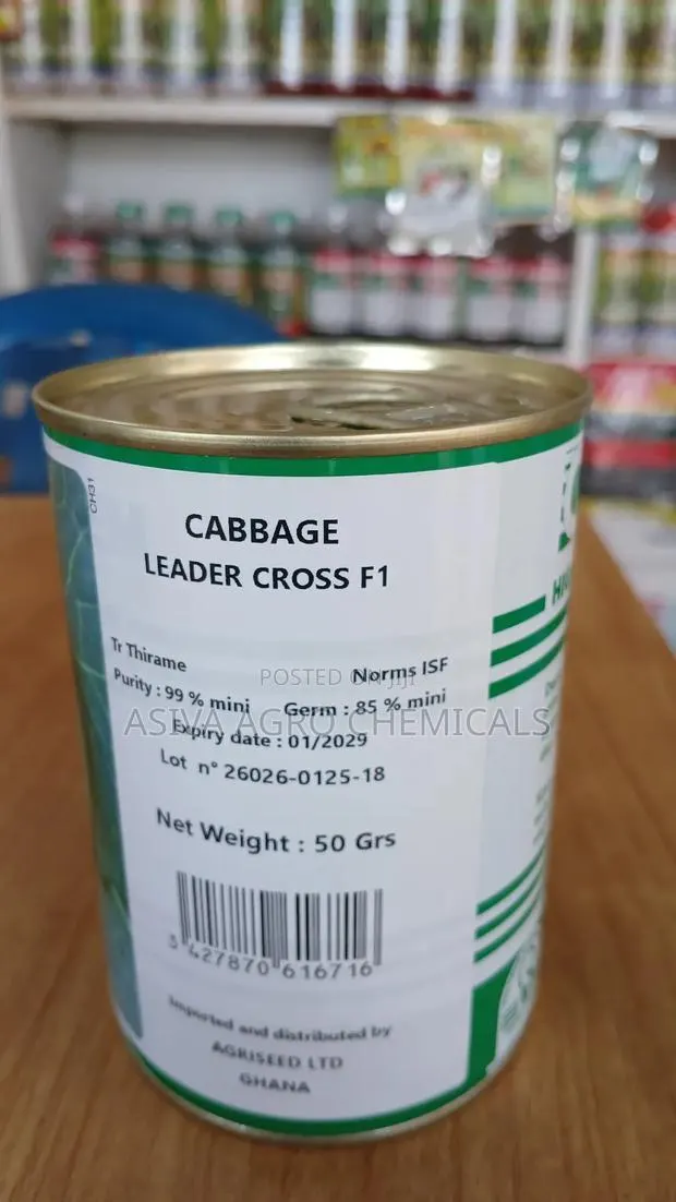 Cabbage (Leader Cross F1) 50grams · Photo 3