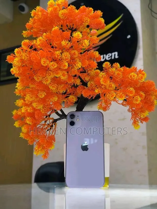 Apple iPhone 11 128 GB Gray · Photo 1