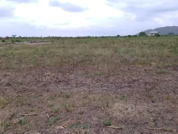 Land Survey and Demarcation