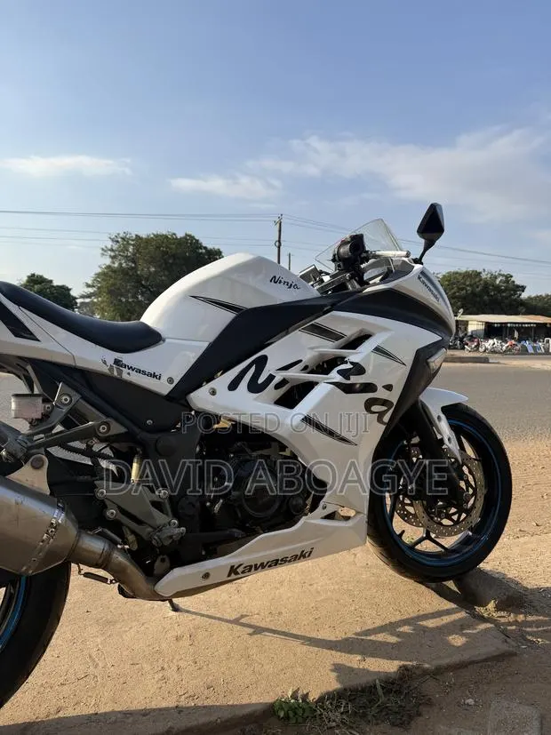 Kawasaki Ninja 300 2017 White · Photo 1