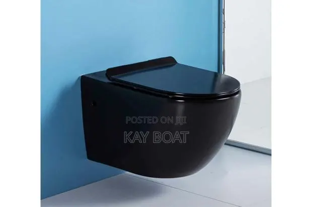 Hydrobano Hunging WC With All Accessories