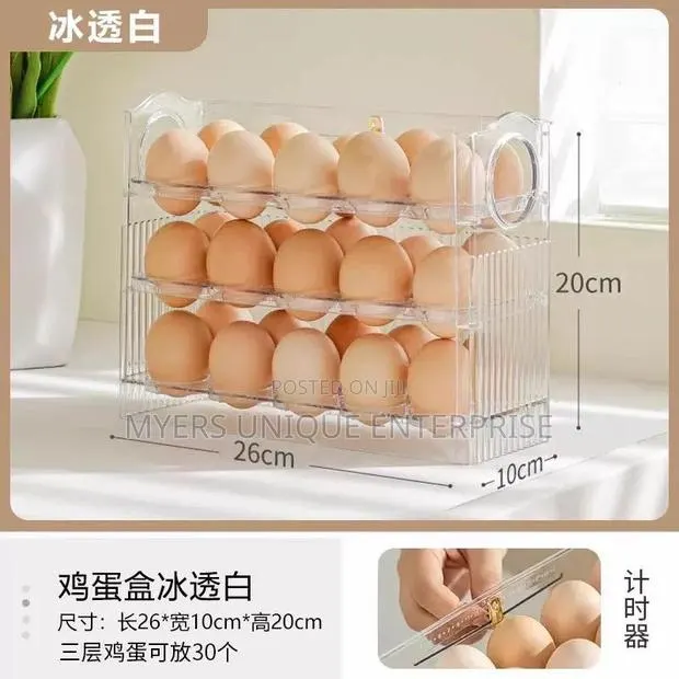 Durable Plastic Storage for Keeping Egg(30-Pc Slots) · Photo 1