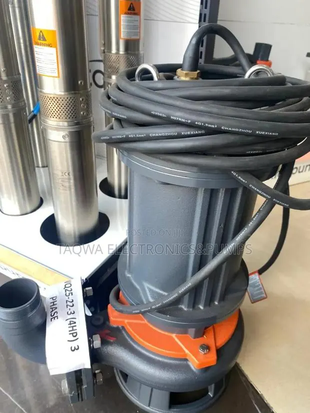 Typically Leo Sewage Pump 4hp 3 Phase · Photo 1