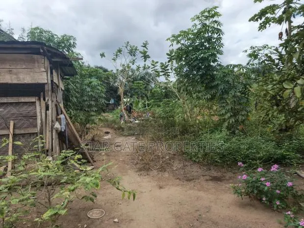 3 Plots for Sale at Ayeduase ( KNUST) Hostel Plots. · Photo 1