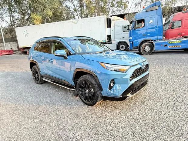 Toyota RAV4 Adventure AWD 2024 Blue