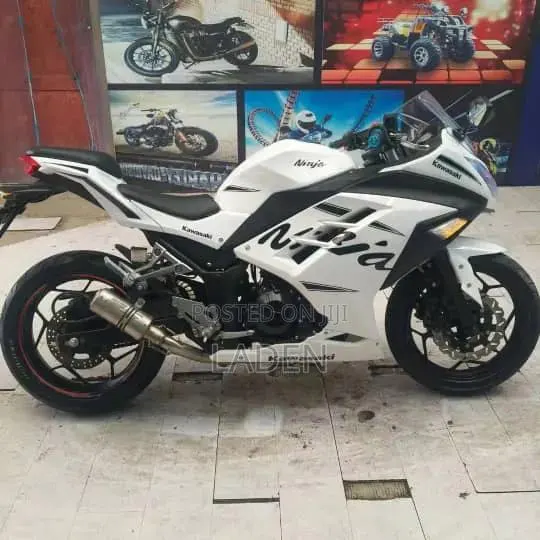 Kawasaki Ninja 300 2023 · Photo 1