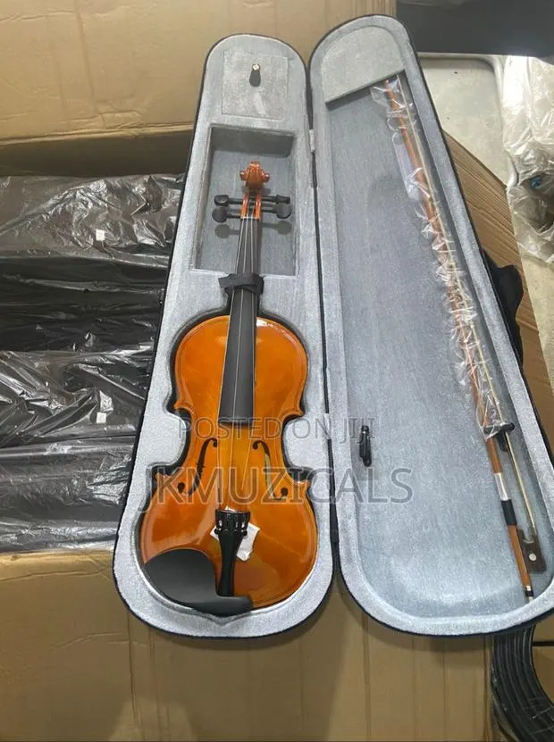 Violin 4/4 · Photo 1