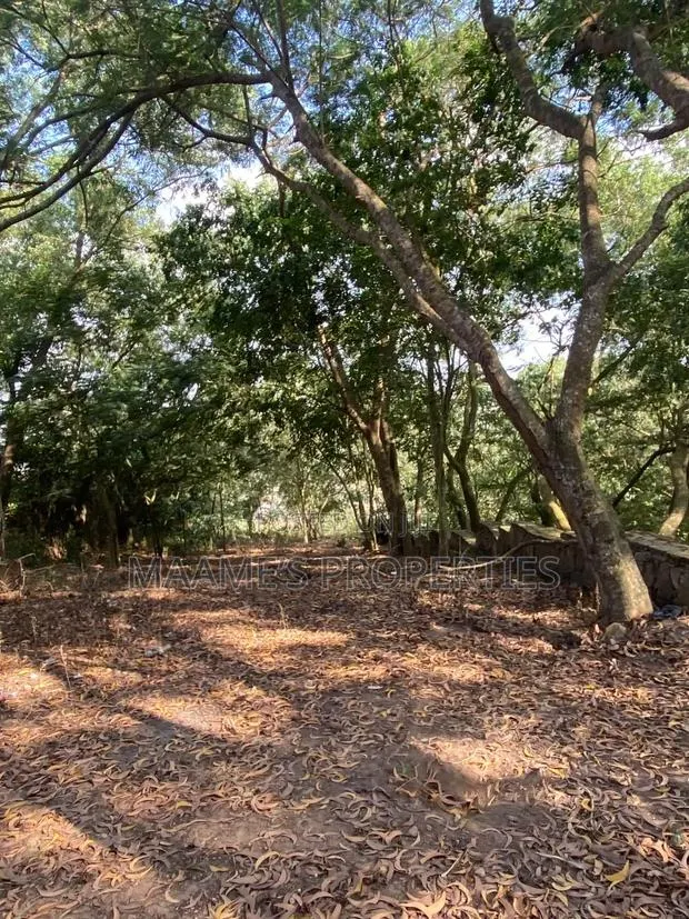 6 Plots of Land at Peduase Around Hephzibah Prayer Retreat · Photo 1