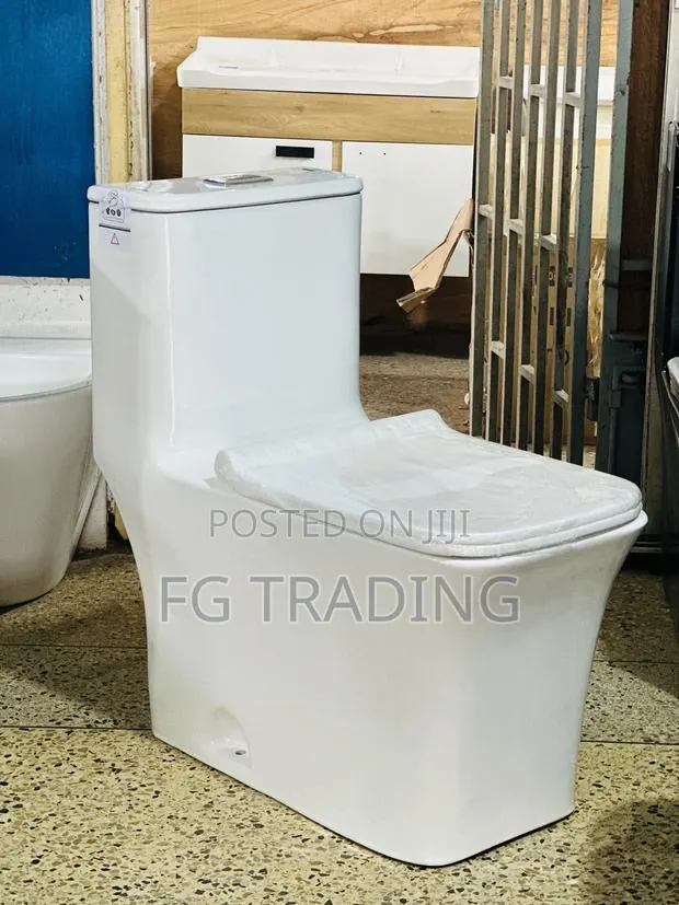 Siphonic Water Closet - Combined WC - Toilet Seat · Photo 1