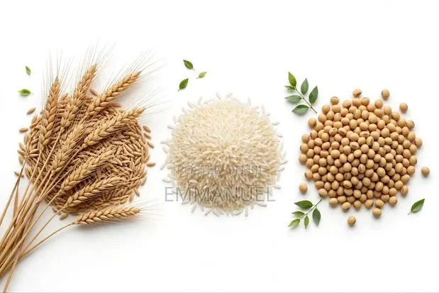 TRE-EN-EN Grain Concentrates · Photo 2