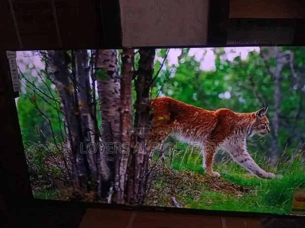 Sigma 55" Lovin ' Led Smart Tv. · Photo 1