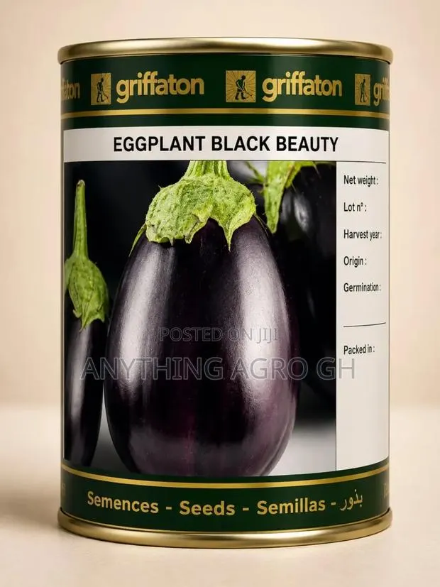 Eggplant Black Beauty · Photo 1