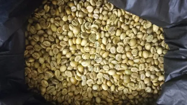 Raw/ Roasted/ Grounded Coffee Beans and Powder. · Photo 1