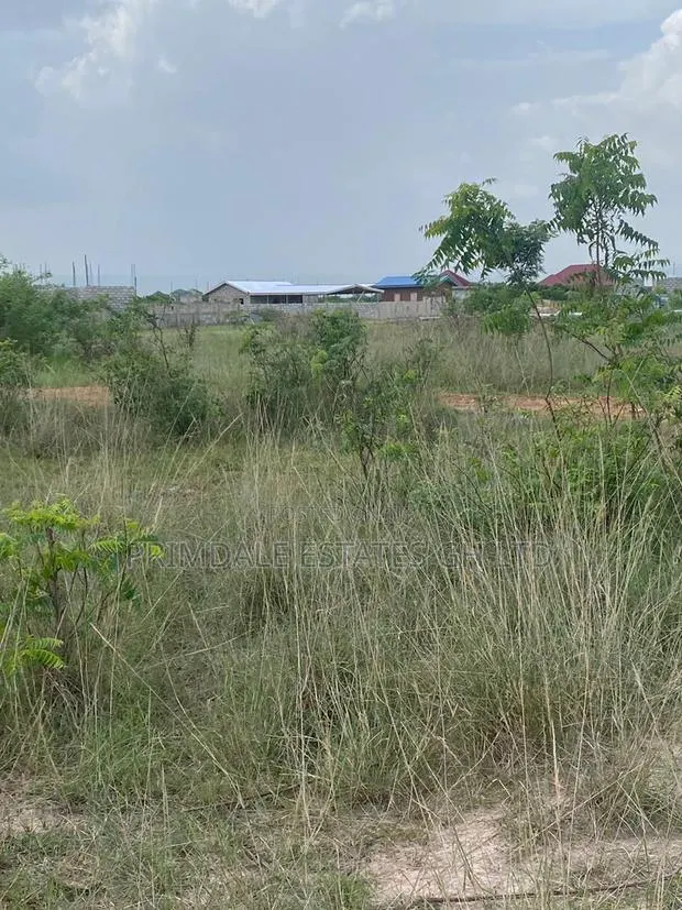 Registered Land for Sale · Photo 1