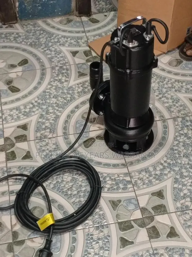 Leo Water 50wqd8 Brand New Water Pump · Photo 1