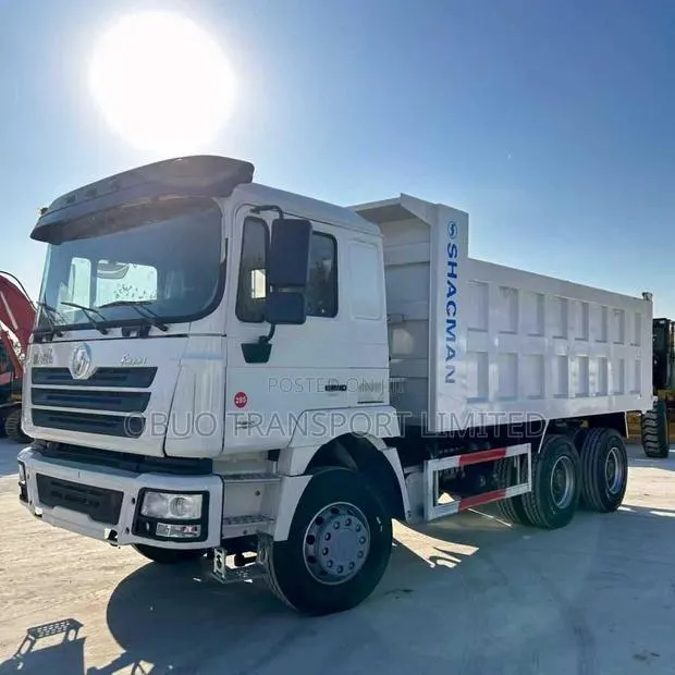 Shacman Dump Truck 2022 · Photo 1