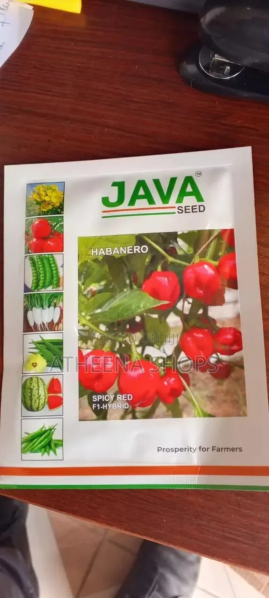 Habanero Super Hot Seeds (F1) 50 Grams · Photo 1