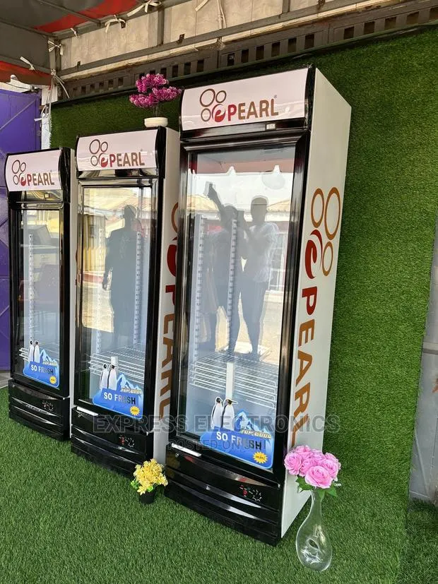 Elegant-Unique Display Fridge Pearl PVC37 , 248 Litres · Photo 1