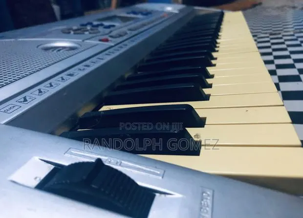 Livingstone Keyboard · Photo 1