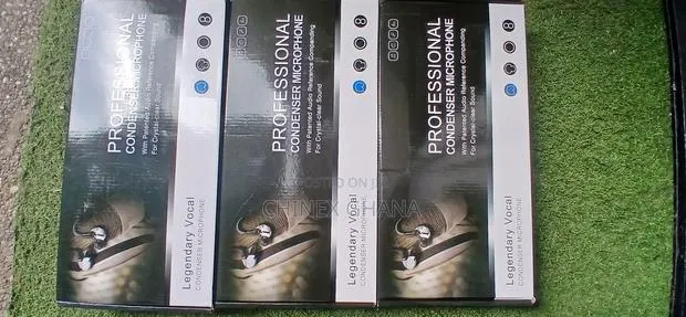 Professional Condenser Microphone · Photo 1