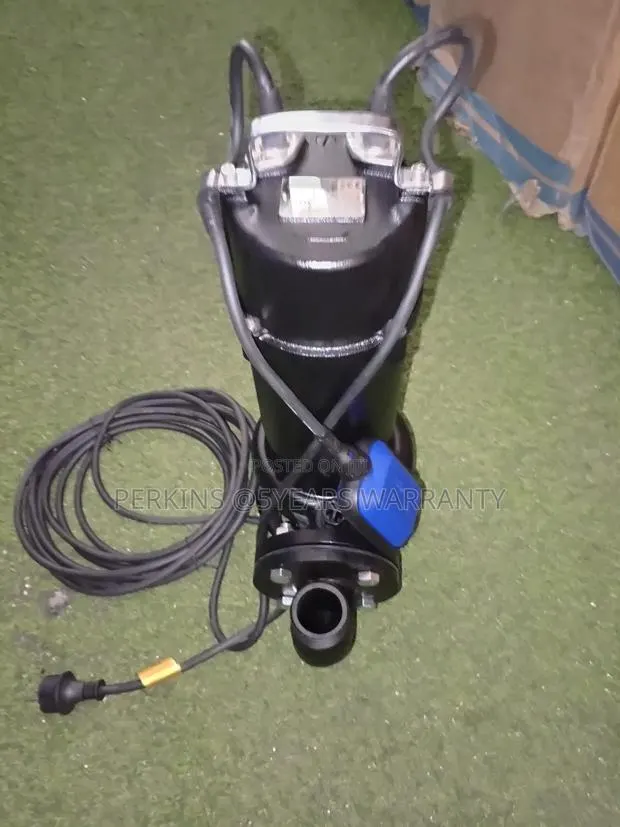 Submersible WQ Sewage Pumps 1.5hp · Photo 1