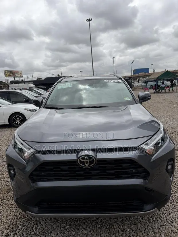 Toyota RAV4 Limited 2025 Gray · Photo 1