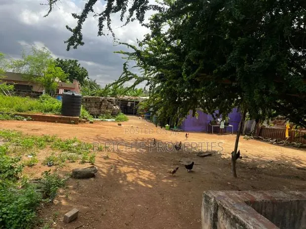 100x200 Feet Land for Sale at Adenta Sakora Closer to Agbogba · Photo 1