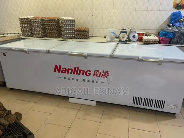 Deep Freezer 1600liters · Photo 1