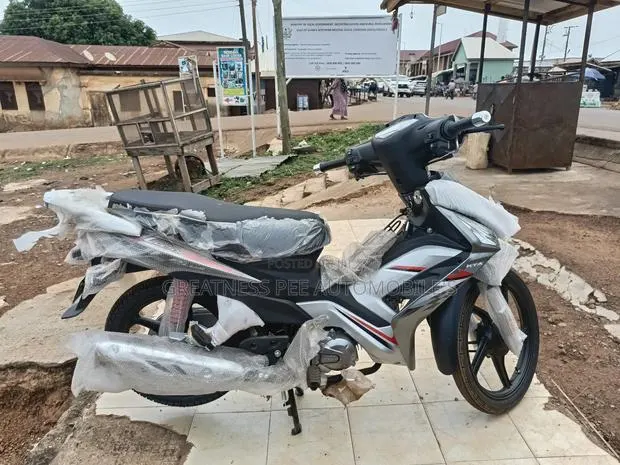 New Motorcycle 2025 Gray · Photo 1