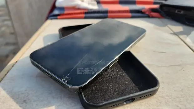 Apple iPhone 13 Pro Max 256 GB Gray · Photo 1