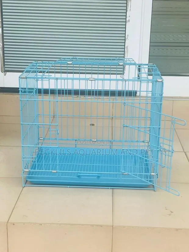 21 Inches Metal Blue Cages ( Indoor N Outdoor) · Photo 1