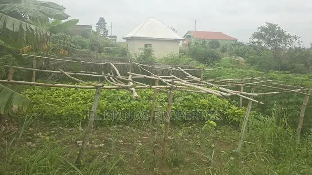 Land at Tanoso Dominase for Sale · Photo 1