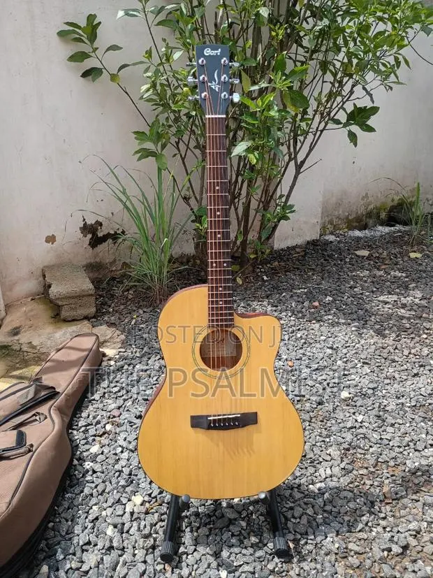 Cort Jade1 Op Acoustic Guitar With Padded Bag · Photo 1