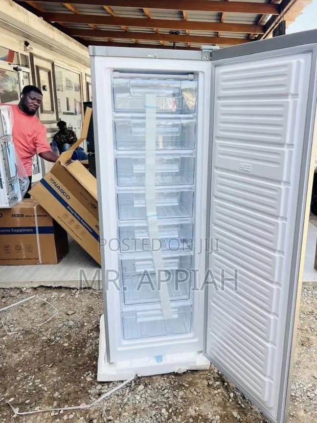 Choose Affordable Nasco Nasd1-33 Upright Standing Freezer(Gray)242l · Photo 1