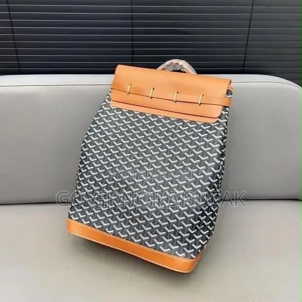 Goyard Steamer PM Backpack: 2 Colors in Stock · Photo 1