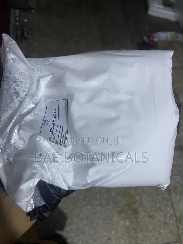 Pure Gypsum Powder (For Arts and Crafts) · Photo 2