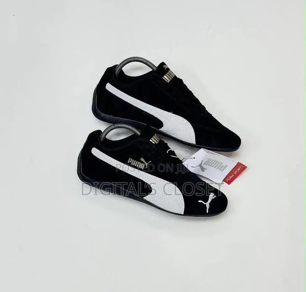Original Puma Cat · Photo 3