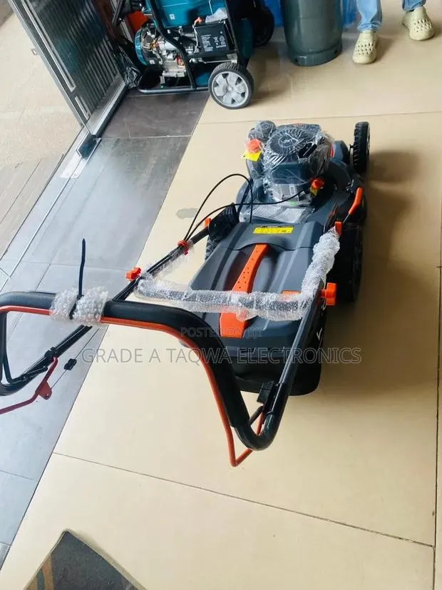 Self-Propelled Leo 5.5 Horsepower Lawn Mower · Photo 1