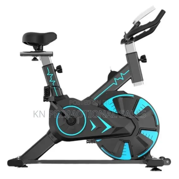 Professional Gym Bike · Photo 1