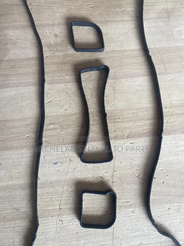 Valve Cover Seal Ford Escape 2013 - 2018 · Photo 1