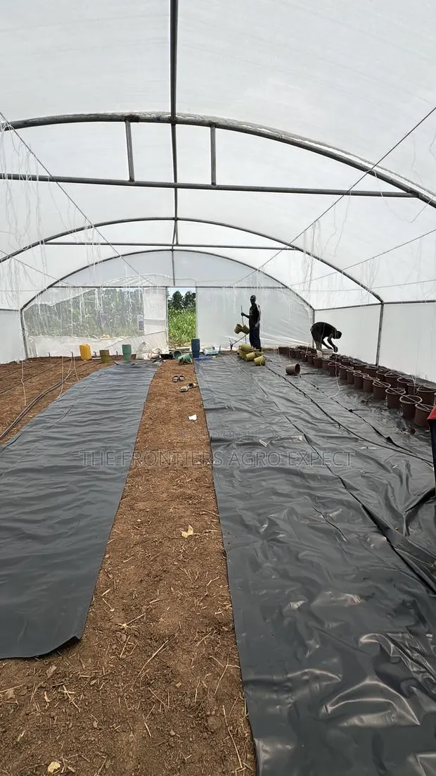 Greenhouse · Photo 1