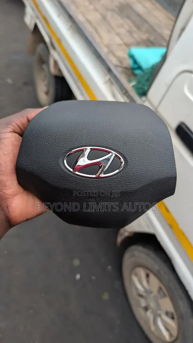 Hyundai Elantra 2019,2020 Steering Airbag Cover · Photo 1